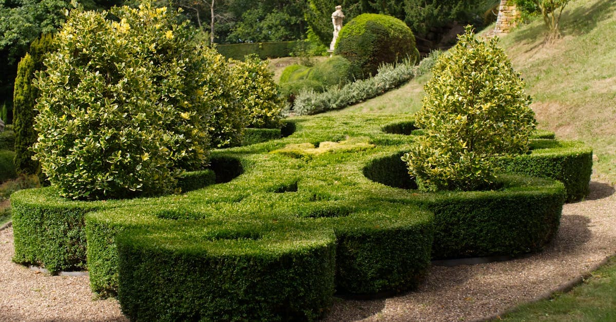 Landscaping & garden makeovers